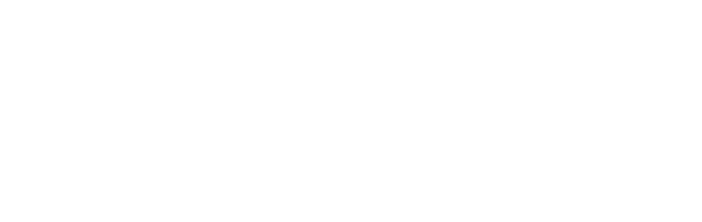 The SecOps Group